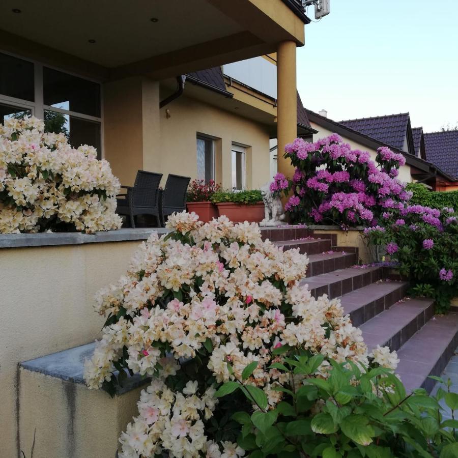 Готель Rezident Consult S.R.O. Братислава Екстер'єр фото